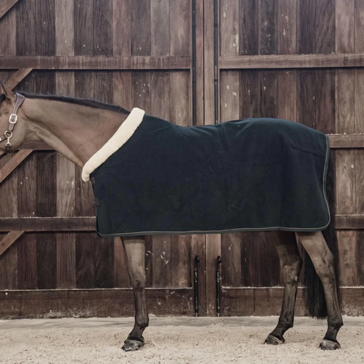 KENTUCKY COPERTA IN PILE PESANTE Verde coperta per cavallo - immagine 4